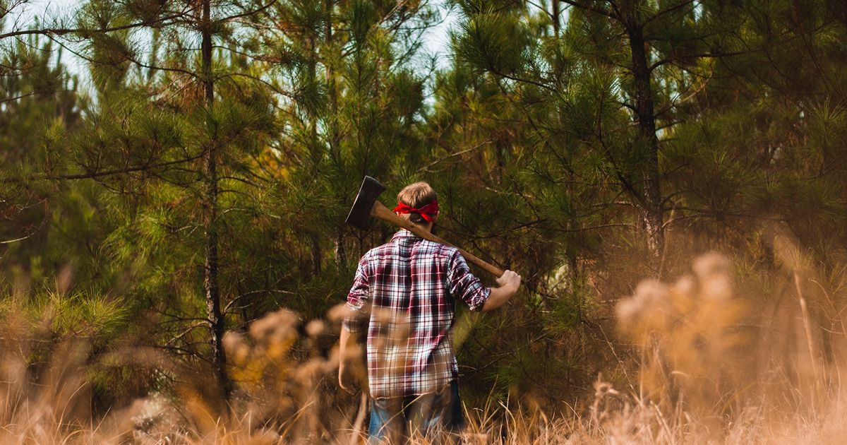 lumberjack
