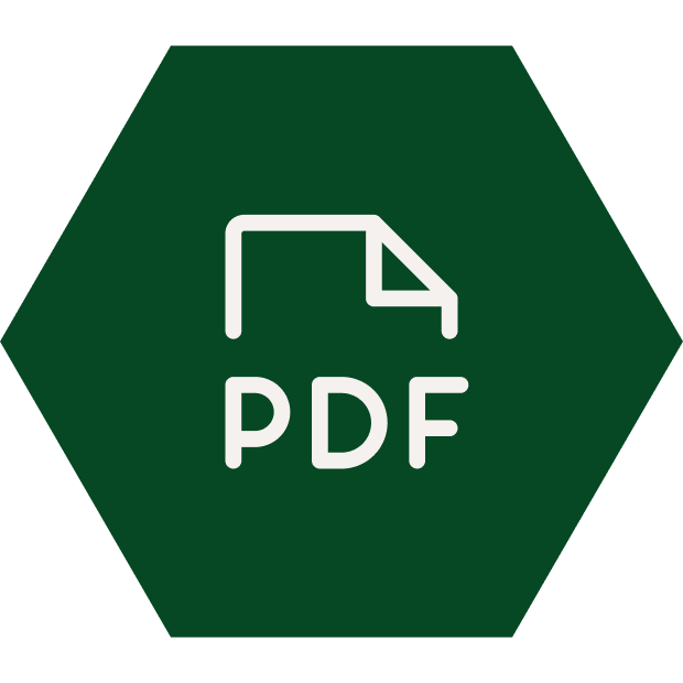 pdf icon hexagon